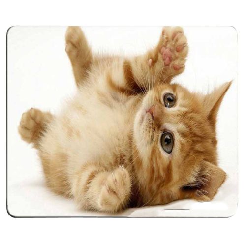 Cat Gift Cartoon Game Cartoon Mouse Pad